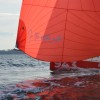 Vignette Contender Sailcloth by Lindemann